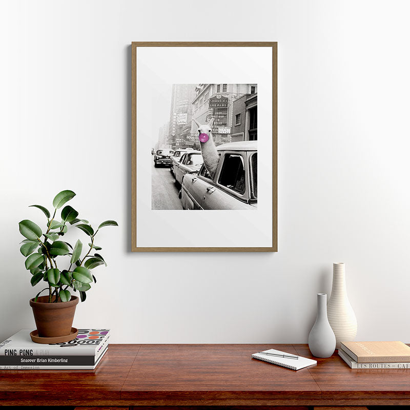 Perfect Pink Bubble Gum Llama taking a New York Taxi black and white photograph Framed Art Print Gallery Image 18