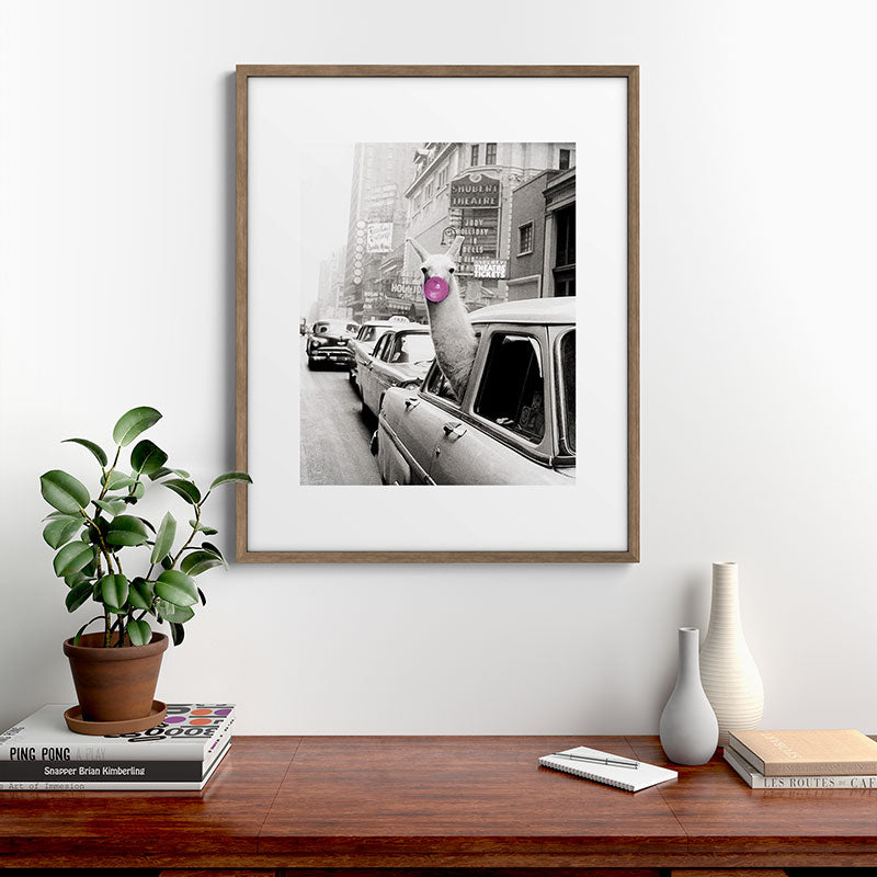 Perfect Pink Bubble Gum Llama taking a New York Taxi black and white photograph Framed Art Print Gallery Image 19
