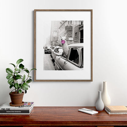 Perfect Pink Bubble Gum Llama taking a New York Taxi black and white photograph Framed Art Print Gallery Image 19