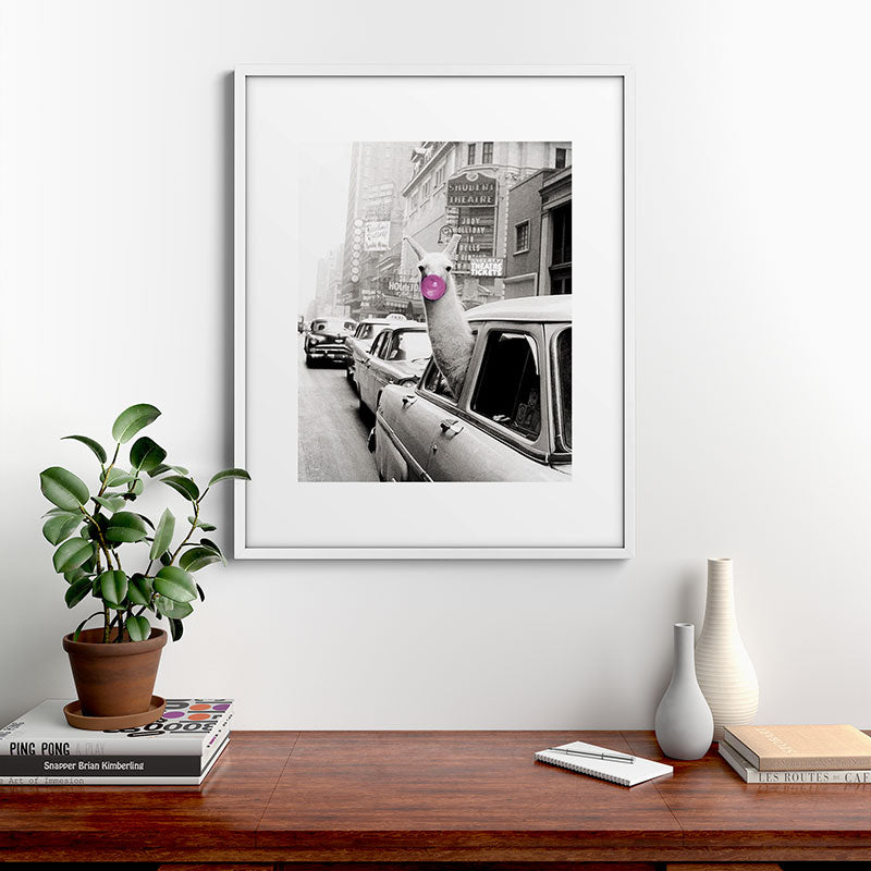 Perfect Pink Bubble Gum Llama taking a New York Taxi black and white photograph Framed Art Print Gallery Image 39