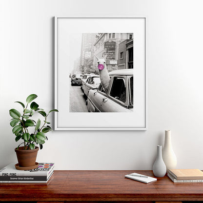 Perfect Pink Bubble Gum Llama taking a New York Taxi black and white photograph Framed Art Print Gallery Image 39