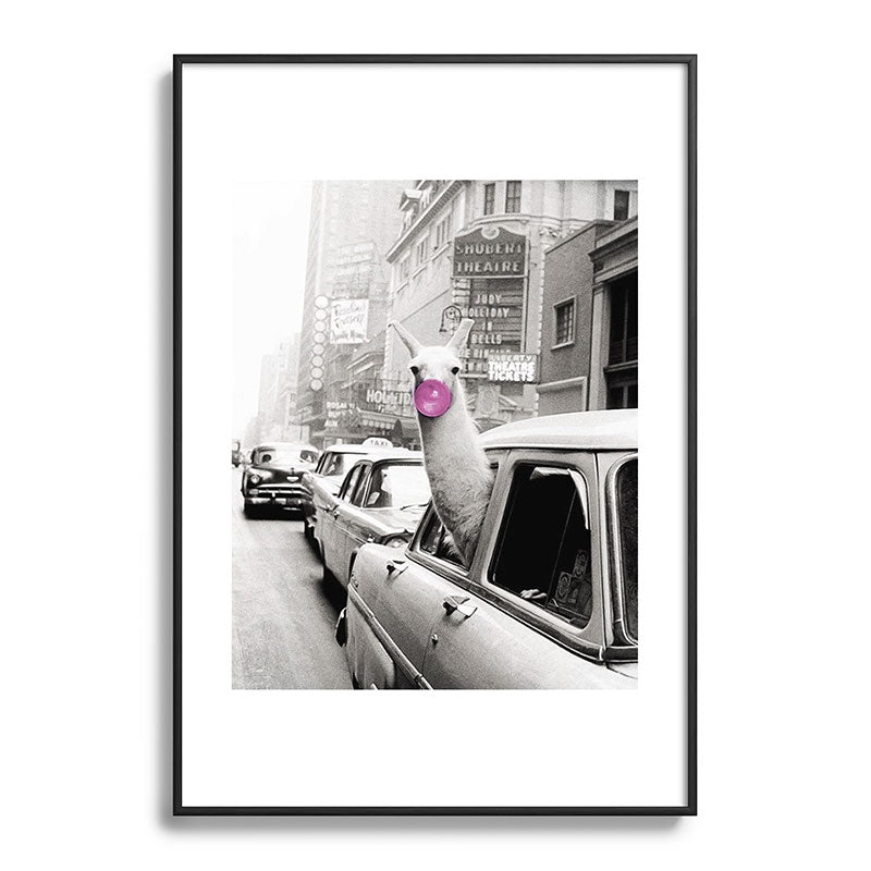 Perfect Pink Bubble Gum Llama taking a New York Taxi black and white photograph Framed Art Print Gallery Image 113