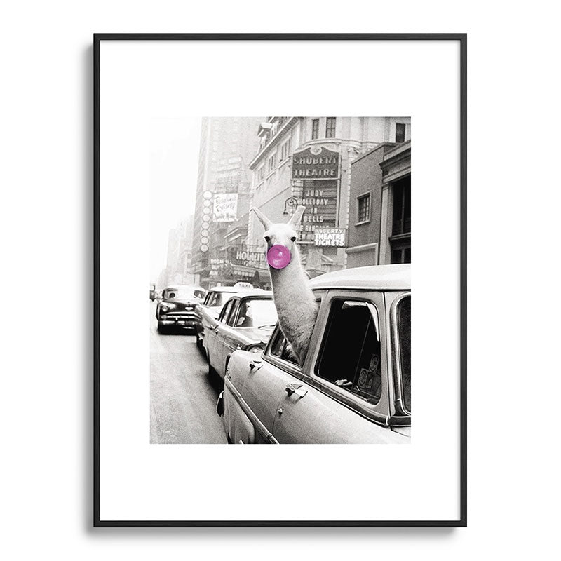Perfect Pink Bubble Gum Llama taking a New York Taxi black and white photograph Framed Art Print Gallery Image 115