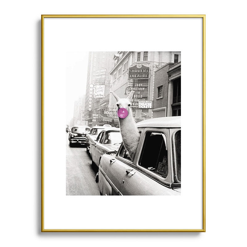 Perfect Pink Bubble Gum Llama taking a New York Taxi black and white photograph Framed Art Print Gallery Image 125