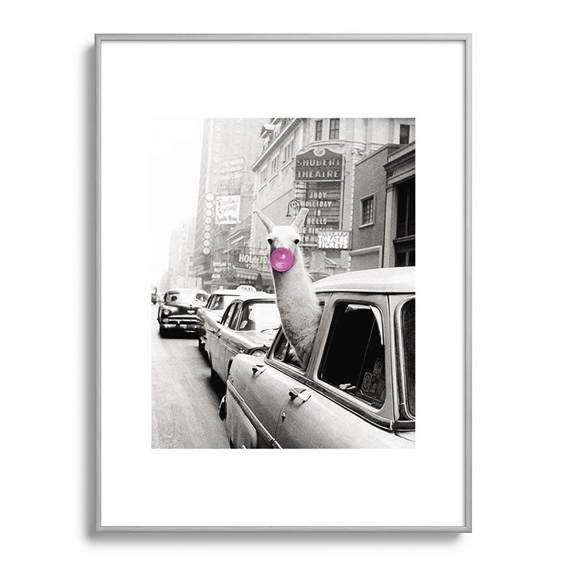 Perfect Pink Bubble Gum Llama taking a New York Taxi black and white photograph Framed Art Print Gallery Image 135