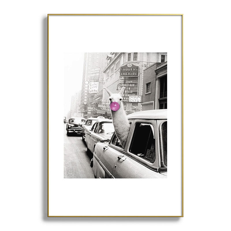 Perfect Pink Bubble Gum Llama taking a New York Taxi black and white photograph Framed Art Print Gallery Image 127