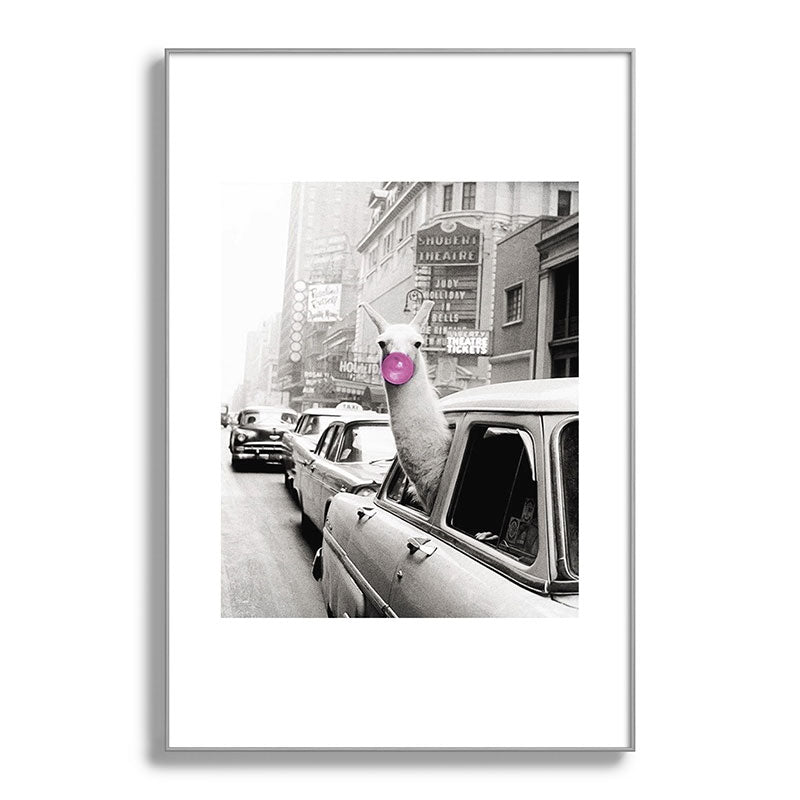 Perfect Pink Bubble Gum Llama taking a New York Taxi black and white photograph Framed Art Print Gallery Image 137