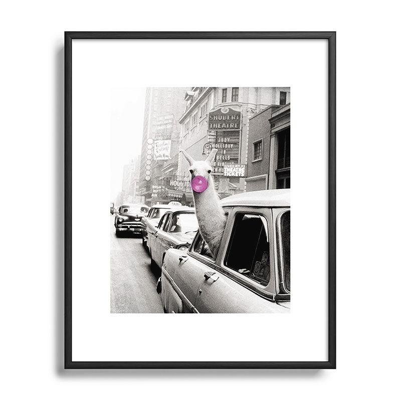 Perfect Pink Bubble Gum Llama taking a New York Taxi black and white photograph Framed Art Print Gallery Image 111