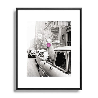 Perfect Pink Bubble Gum Llama taking a New York Taxi black and white photograph Framed Art Print Gallery Image 111