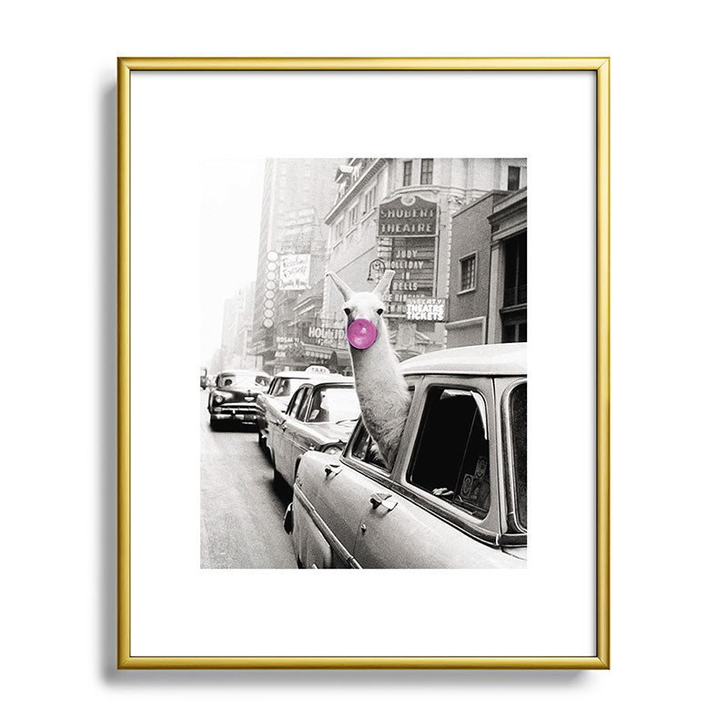 Perfect Pink Bubble Gum Llama taking a New York Taxi black and white photograph Framed Art Print Gallery Image 120