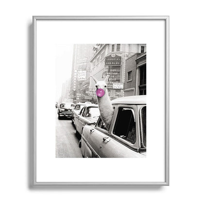 Perfect Pink Bubble Gum Llama taking a New York Taxi black and white photograph Framed Art Print Gallery Image 131