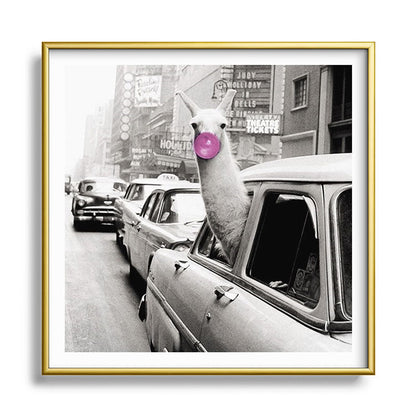 Perfect Pink Bubble Gum Llama taking a New York Taxi black and white photograph Framed Art Print Gallery Image 133