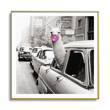 Perfect Pink Bubble Gum Llama taking a New York Taxi black and white photograph Framed Art Print Gallery Image 136