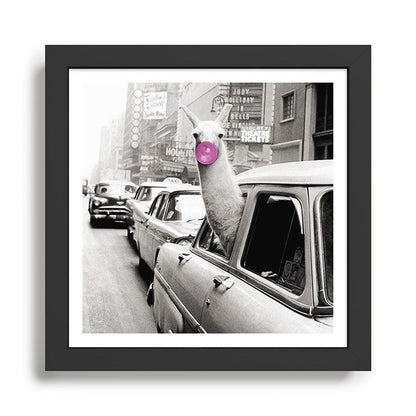 Perfect Pink Bubble Gum Llama taking a New York Taxi black and white photograph Framed Art Print Gallery Image 2