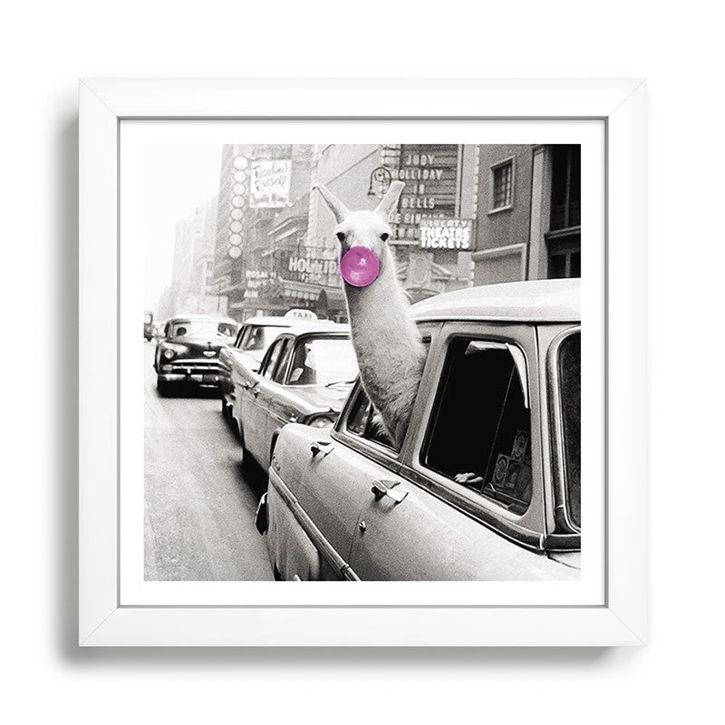 Perfect Pink Bubble Gum Llama taking a New York Taxi black and white photograph Framed Art Print Gallery Image 35