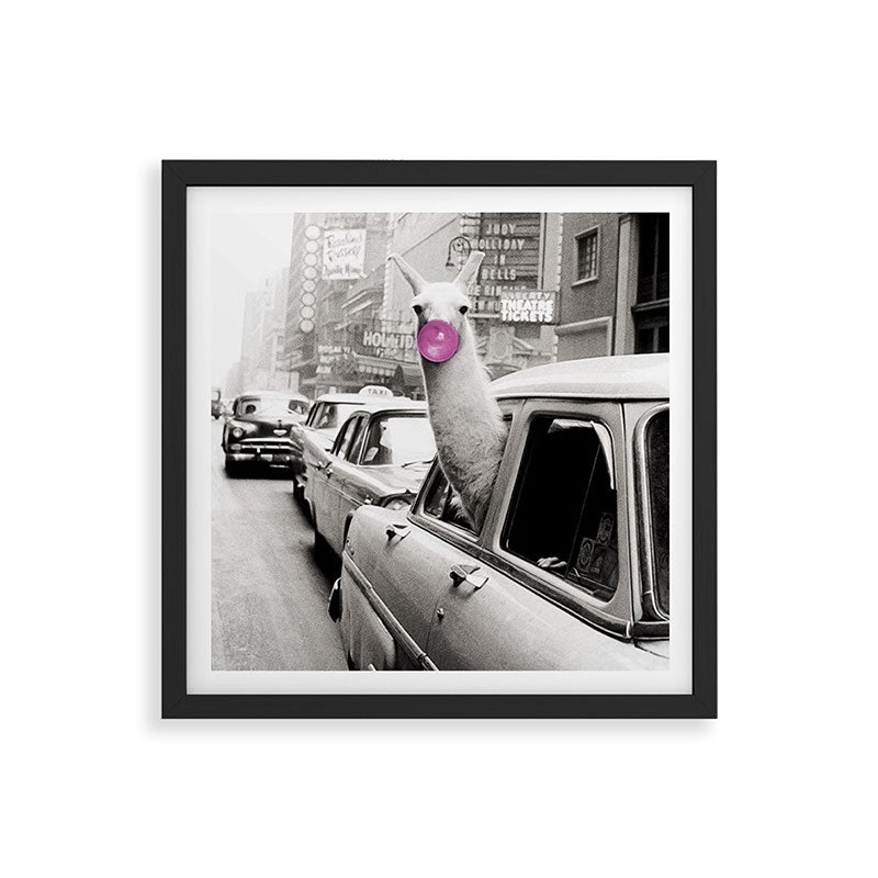 Perfect Pink Bubble Gum Llama taking a New York Taxi black and white photograph Framed Art Print Gallery Image 7