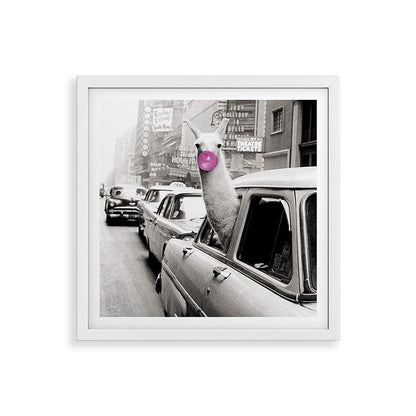 Perfect Pink Bubble Gum Llama taking a New York Taxi black and white photograph Framed Art Print Gallery Image 38