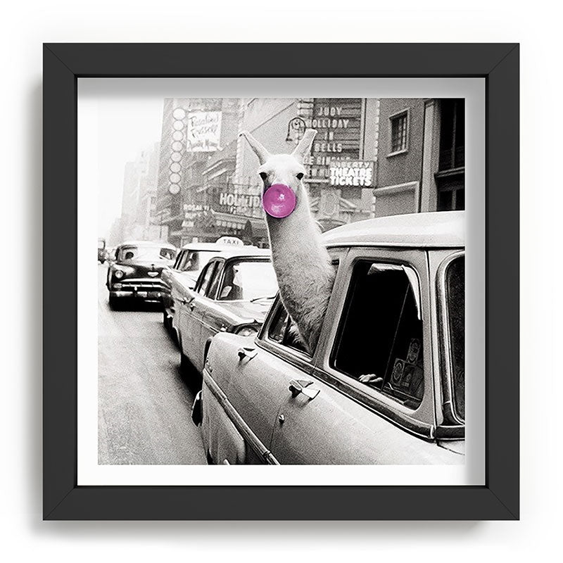 Perfect Pink Bubble Gum Llama taking a New York Taxi black and white photograph Framed Art Print Gallery Image 90