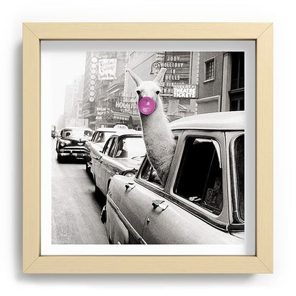 Perfect Pink Bubble Gum Llama taking a New York Taxi black and white photograph Framed Art Print Gallery Image 106