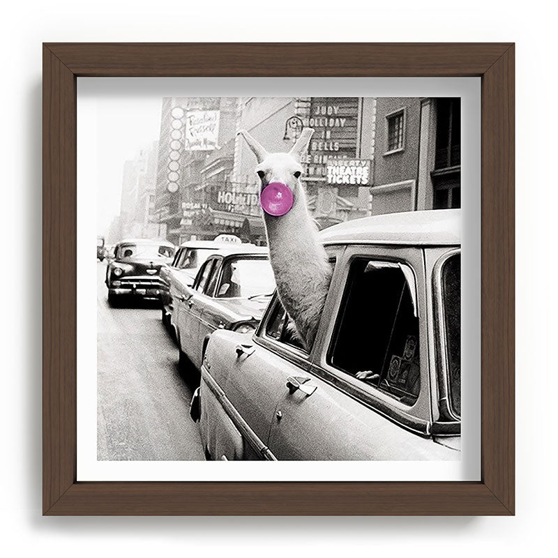 Perfect Pink Bubble Gum Llama taking a New York Taxi black and white photograph Framed Art Print Gallery Image 98