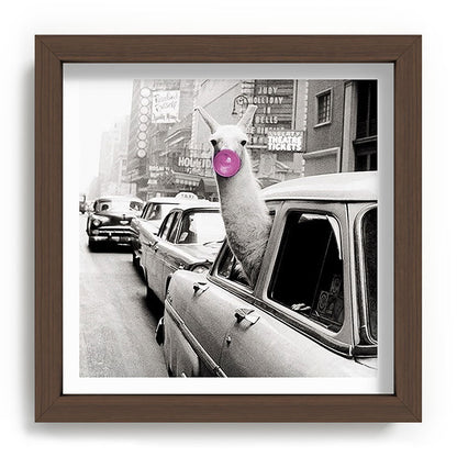 Perfect Pink Bubble Gum Llama taking a New York Taxi black and white photograph Framed Art Print Gallery Image 98