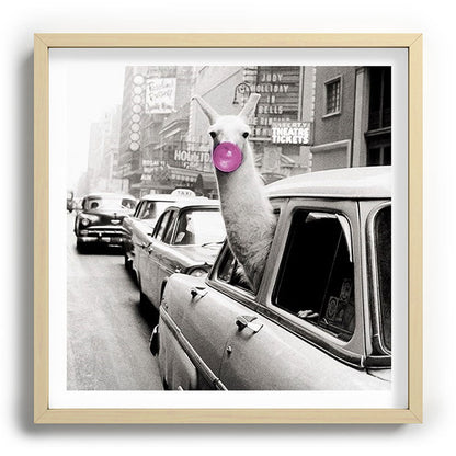 Perfect Pink Bubble Gum Llama taking a New York Taxi black and white photograph Framed Art Print Gallery Image 109