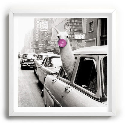 Perfect Pink Bubble Gum Llama taking a New York Taxi black and white photograph Framed Art Print Gallery Image 118