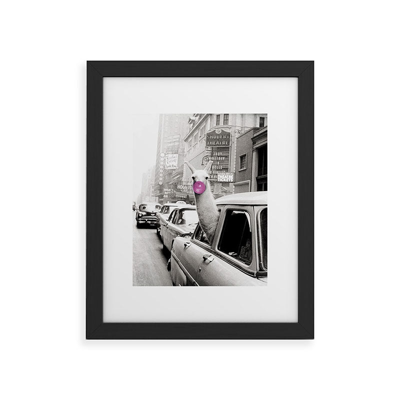 Perfect Pink Bubble Gum Llama taking a New York Taxi black and white photograph Framed Art Print Gallery Image 40