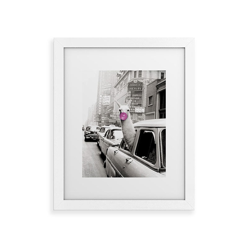 Perfect Pink Bubble Gum Llama taking a New York Taxi black and white photograph Framed Art Print Gallery Image 69