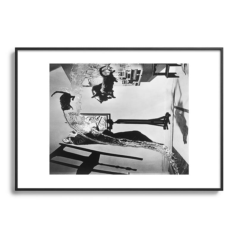 Dalí Atomicus, Salvador Dali painting with flying cats and water spurts surrealism / surrealist black and white photograph / photography by Philippe Halsman Framed Art Print Gallery Image 113