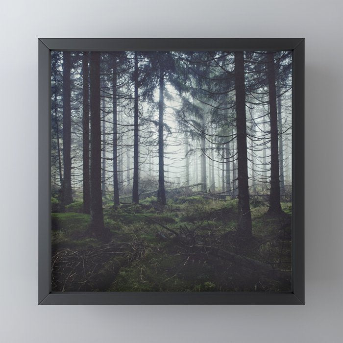 Through The Trees Mini Art Print Gallery Image 3