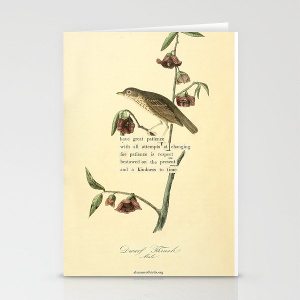 Bird Divinations: Dwarf Thrush (about: almanacofbirds.org) Stationery Card Gallery Image 2