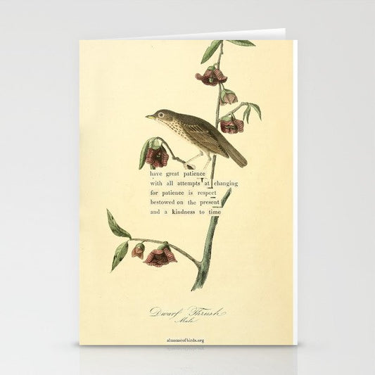 Bird Divinations: Dwarf Thrush (about: almanacofbirds.org) Stationery Card Gallery Image 2