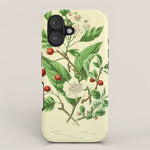 Hawthorn by Anne Pratt, 1800s (benefitting The Nature Conservancy) iPhone Case Gallery Image 1