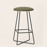 Solid Shaded Lichen Stool Gallery Image 1
