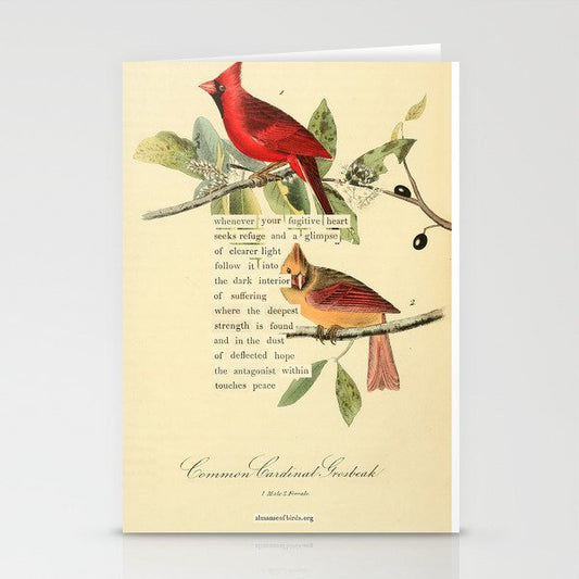 Bird Divinations: Cardinal (about: almanacofbirds.org) Stationery Card Gallery Image 2