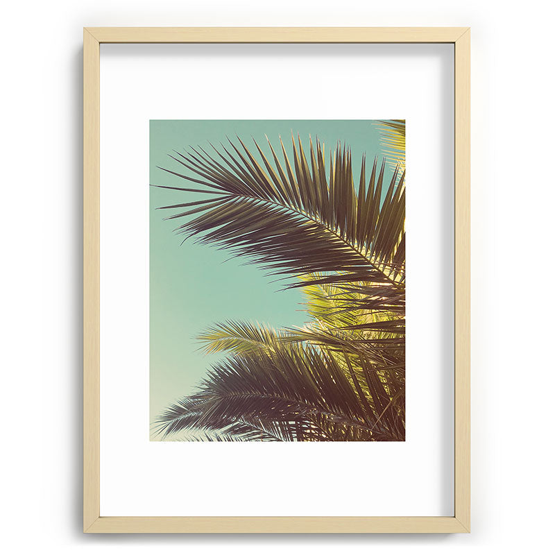Autumn Palms Framed Art Print Gallery Image 100