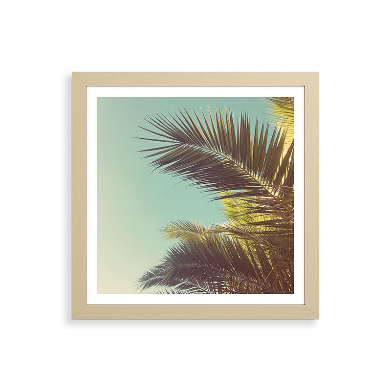 Autumn Palms Framed Art Print Gallery Image 71