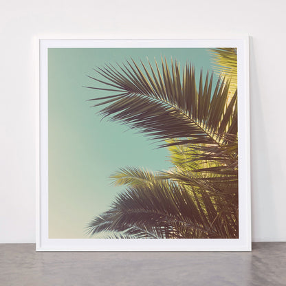 Autumn Palms Framed Art Print Gallery Image 43