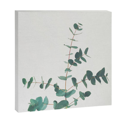 Eucalyptus Canvas Print Gallery Image 2