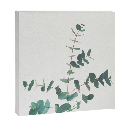 Eucalyptus Canvas Print Gallery Image 2