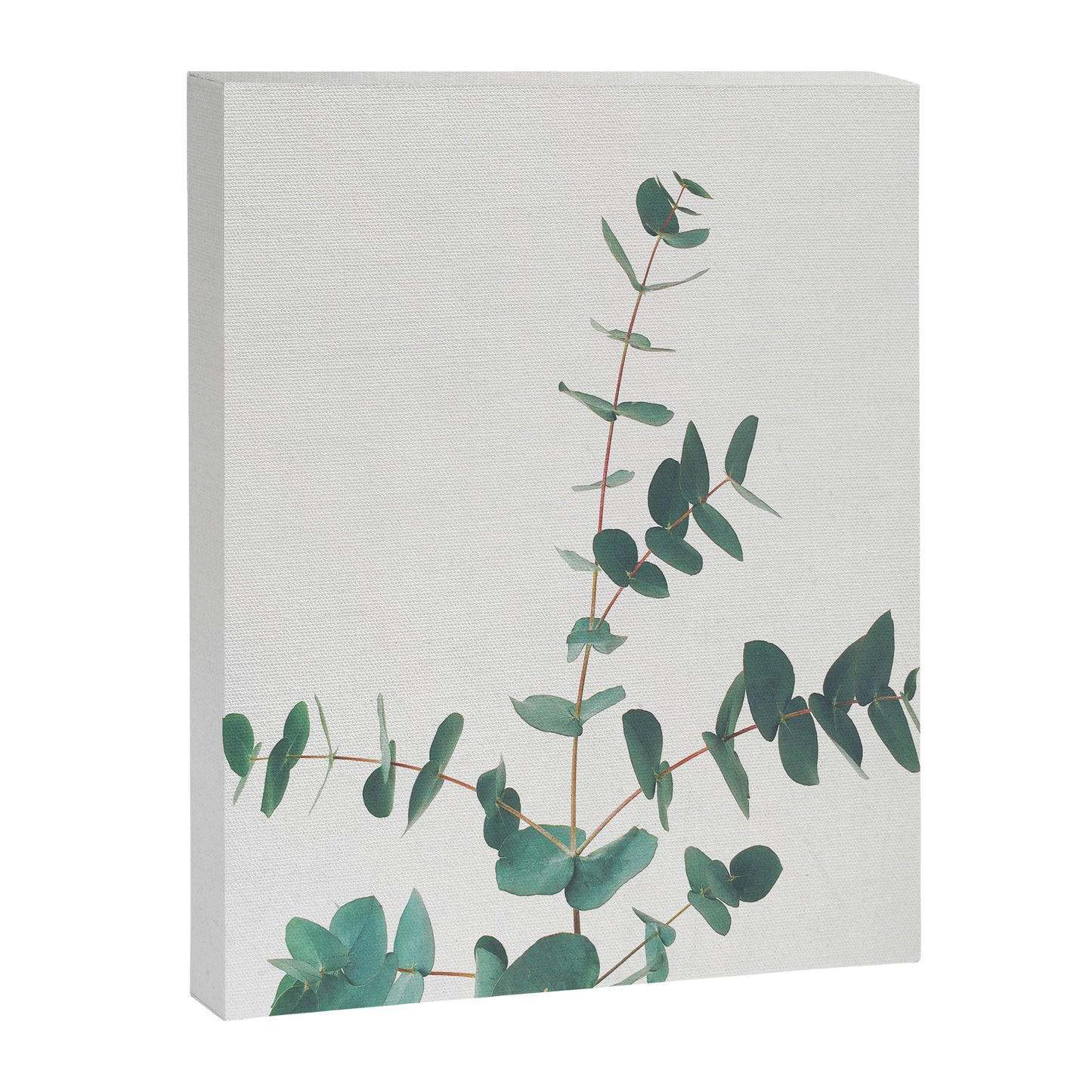 Eucalyptus Canvas Print Gallery Image 8