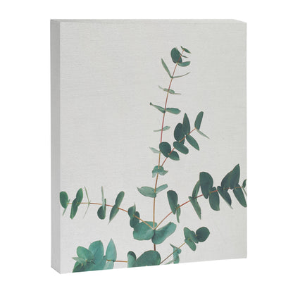 Eucalyptus Canvas Print Gallery Image 4