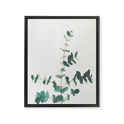 Eucalyptus Framed Canvas Print Gallery Image 8