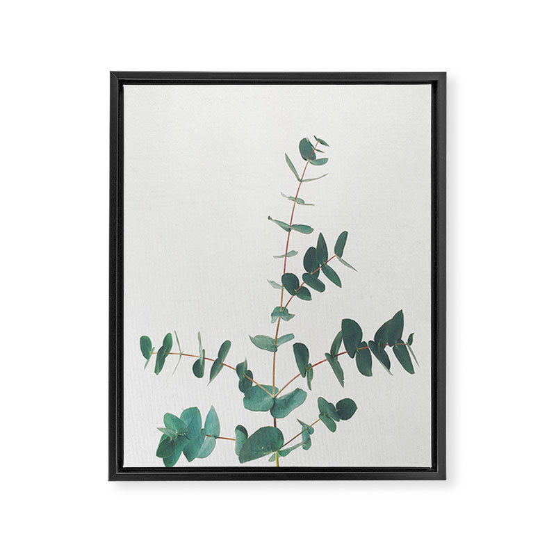 Eucalyptus Framed Canvas Print Gallery Image 7