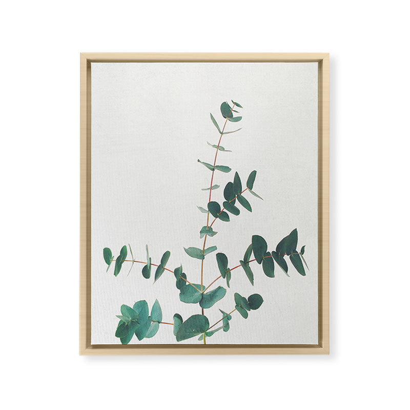 Eucalyptus Framed Canvas Print Gallery Image 26