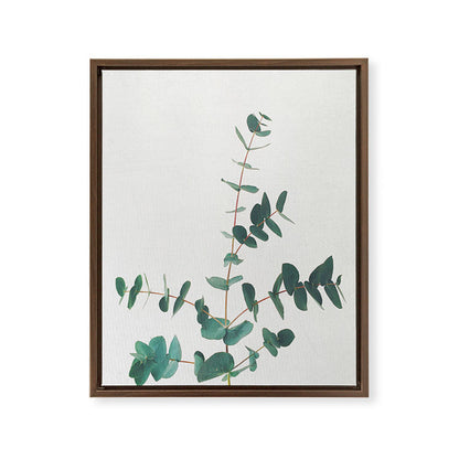 Eucalyptus Framed Canvas Print Gallery Image 17