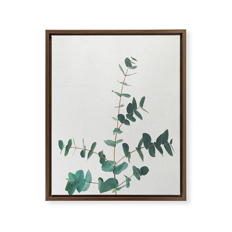 Eucalyptus Framed Canvas Print Gallery Image 14