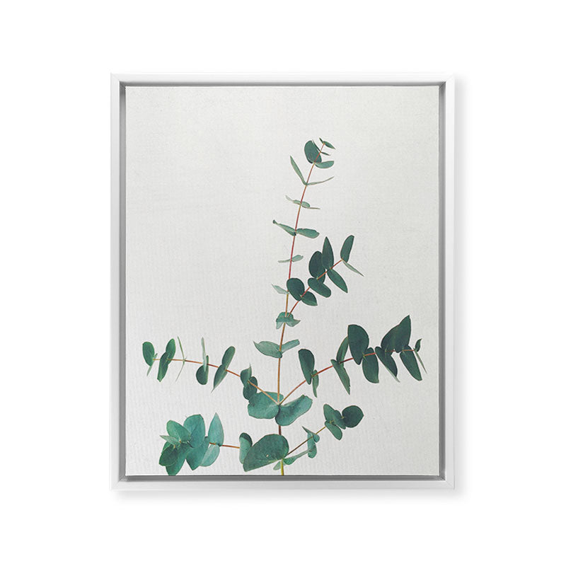 Eucalyptus Framed Canvas Print Gallery Image 34