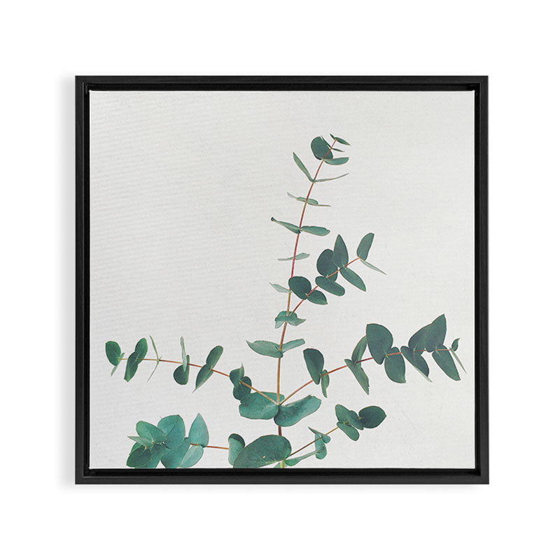 Eucalyptus Framed Canvas Print Gallery Image 9